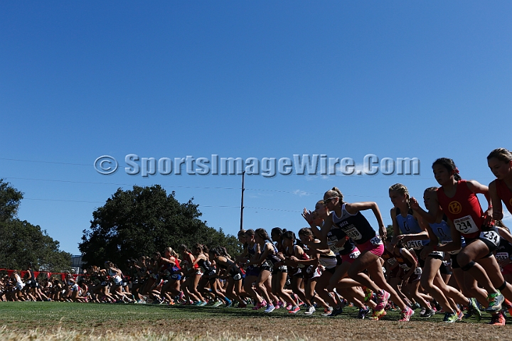 2015SIxcHSD1-145.JPG - 2015 Stanford Cross Country Invitational, September 26, Stanford Golf Course, Stanford, California.